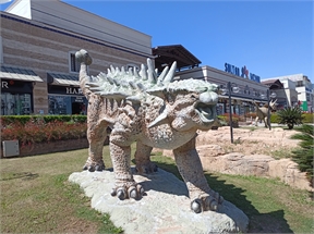 IMG_20240503_105644_792